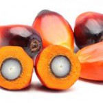 Palm Oil